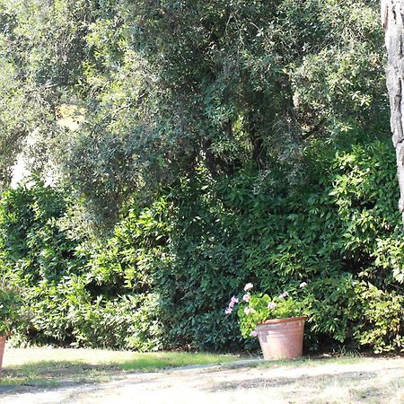 Villetta La Pineta Latignano Esterno foto