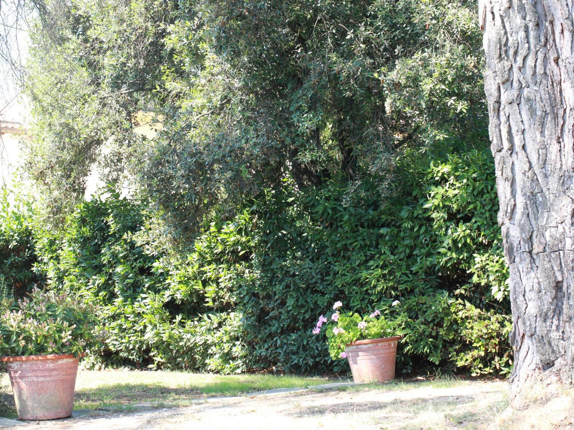 Villetta La Pineta Latignano Esterno foto