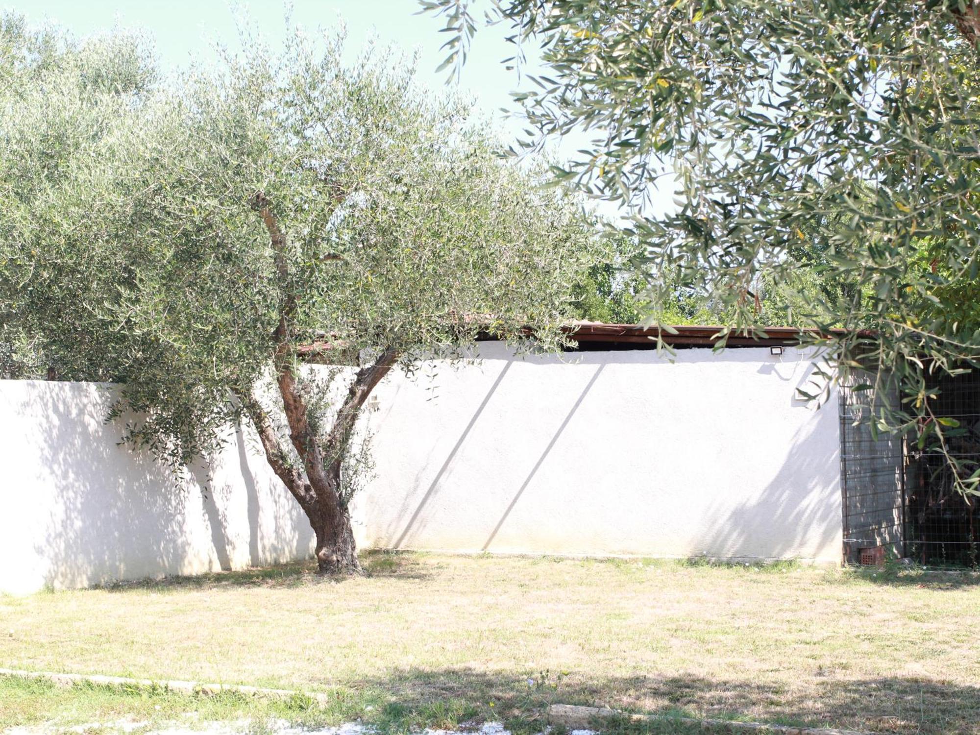 Villetta La Pineta Latignano Esterno foto